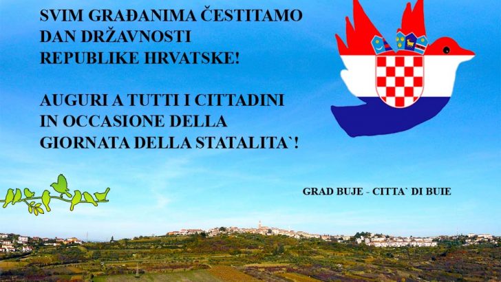 Cestitka dan drzavnosti 2015 buje