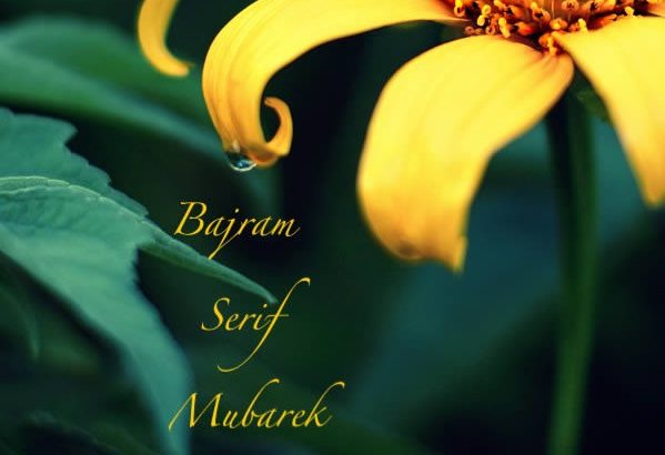 Bajram 17715