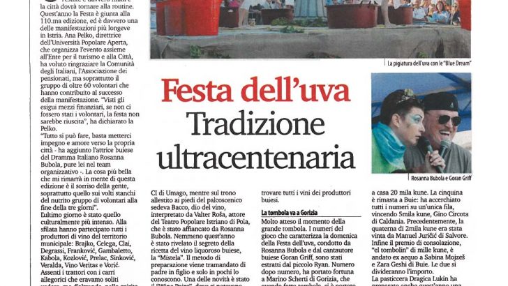 Festa 22915