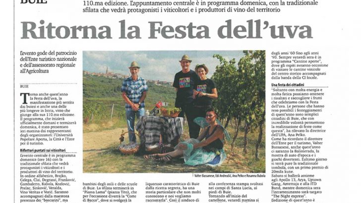 Festa del uva 16915w