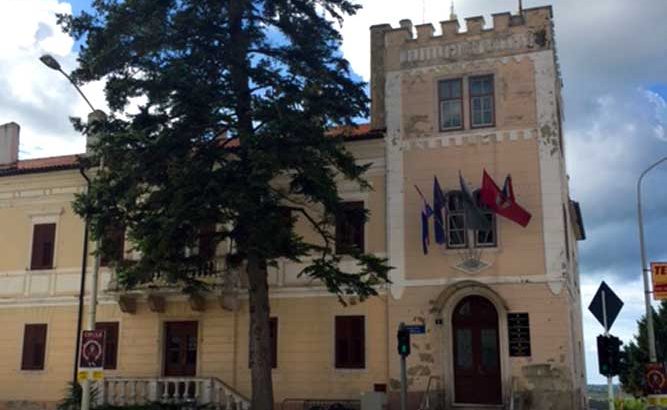 Srušen bor ispred Gradske uprave