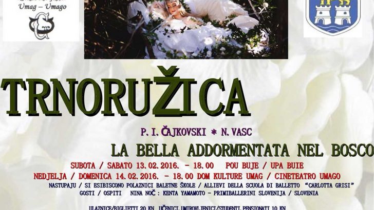 Trnoruzica buje 11216