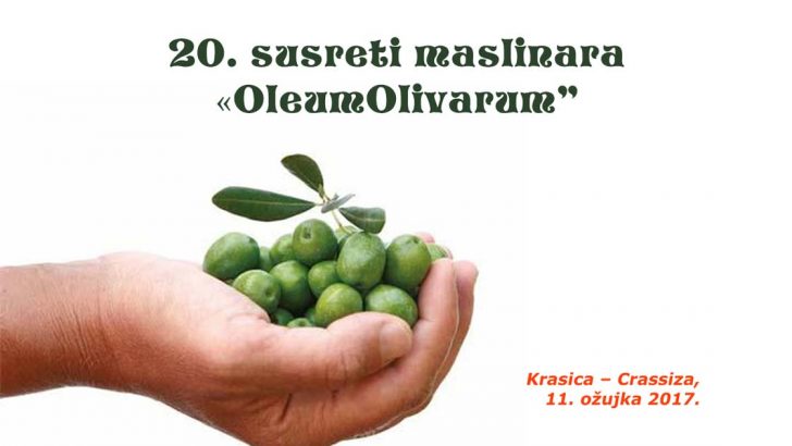 Oleum olivarum 20 21122017