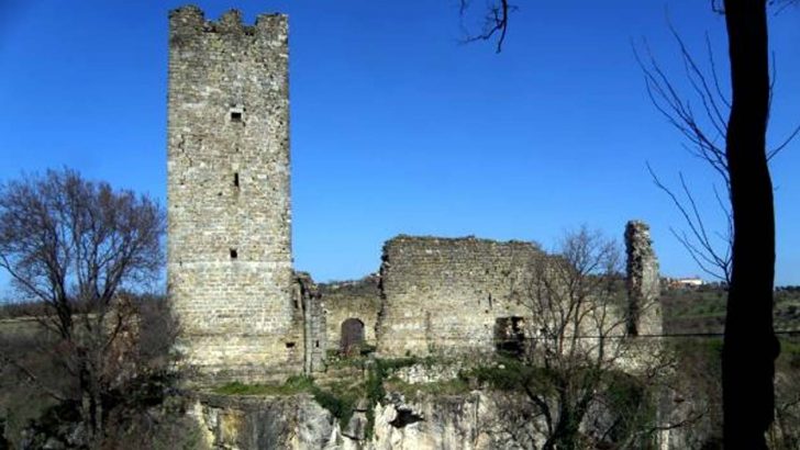 Da Bergamo a Momiano la storia dei conti Rota