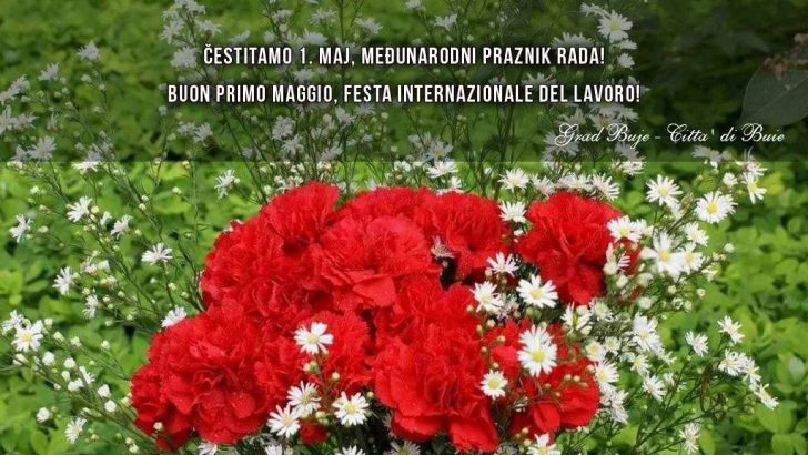Cestitka prvog maja 2017 buje