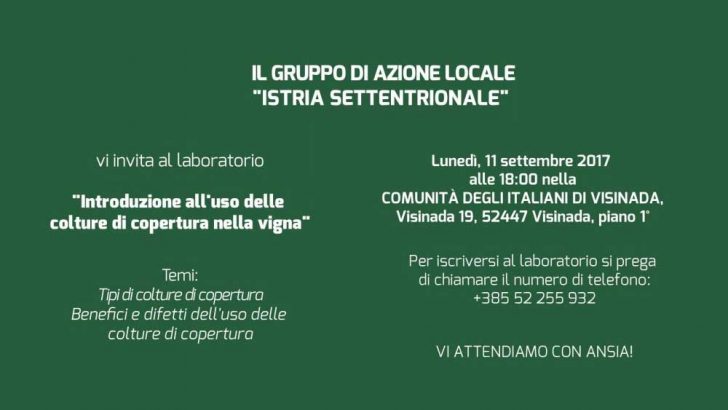 Laboratorio 29717