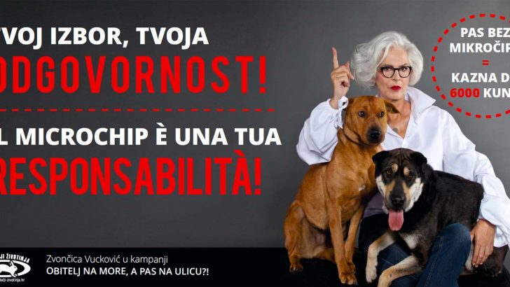 Obitelj na more a pas na ulicu 30817
