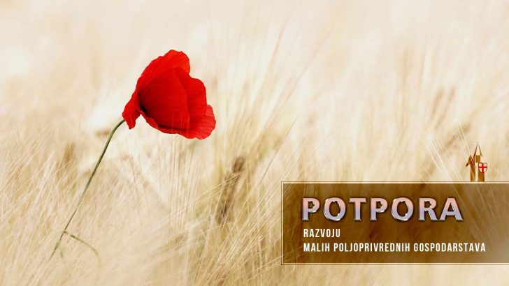 Potpora razvoju malih poljoprivrednih gospodarstava 9318