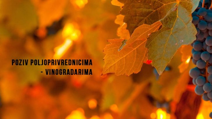 Poziv vinogradarima 12318