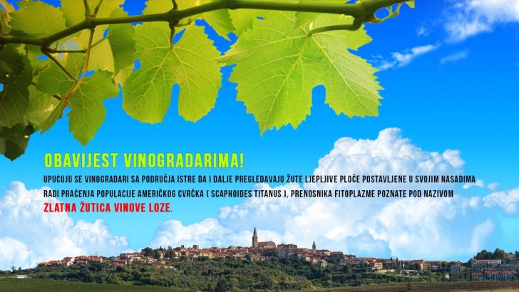 Obavijest vinogradarima 2818
