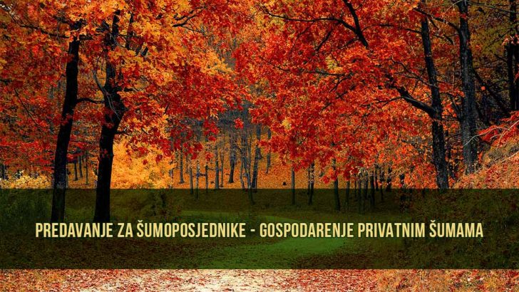 Gospodarenje privatnim sumama