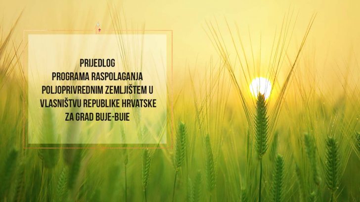 Program raspolaganja poljoprivrednim zemljistem Buje