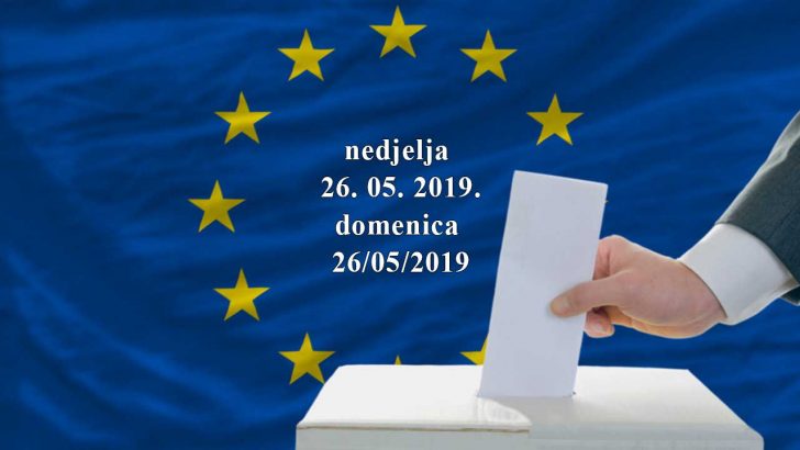 Izbori europski parlament 19