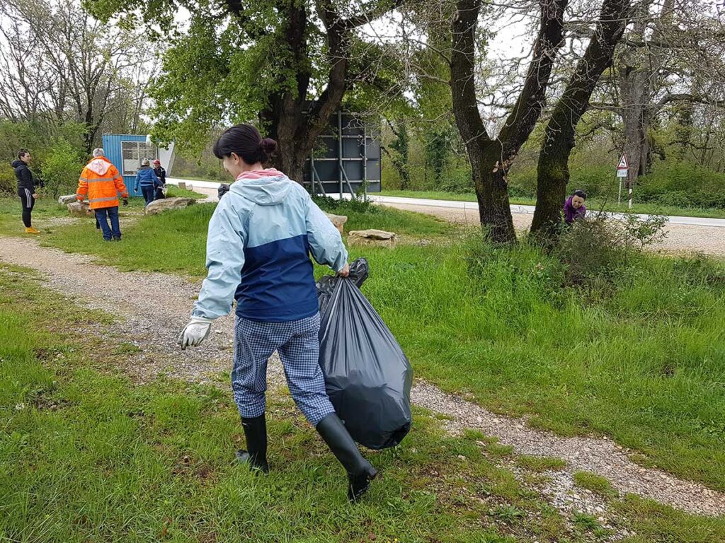 Zelena čistka - Buje 2019. godina