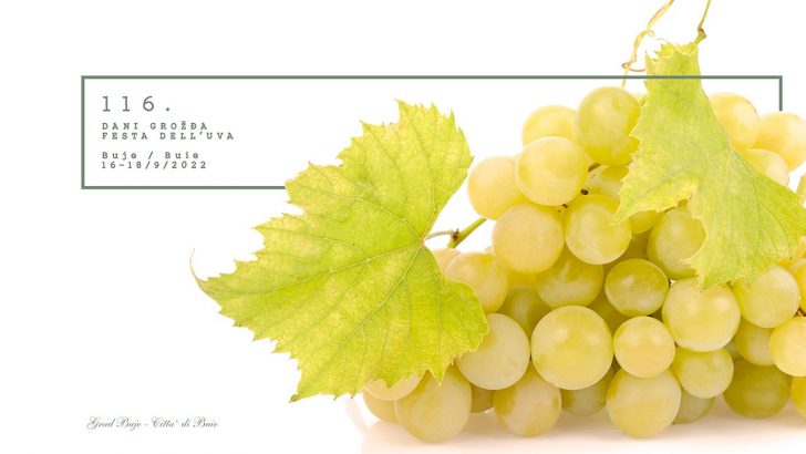 116. DANI GROŽĐA / FESTA DELL’UVA