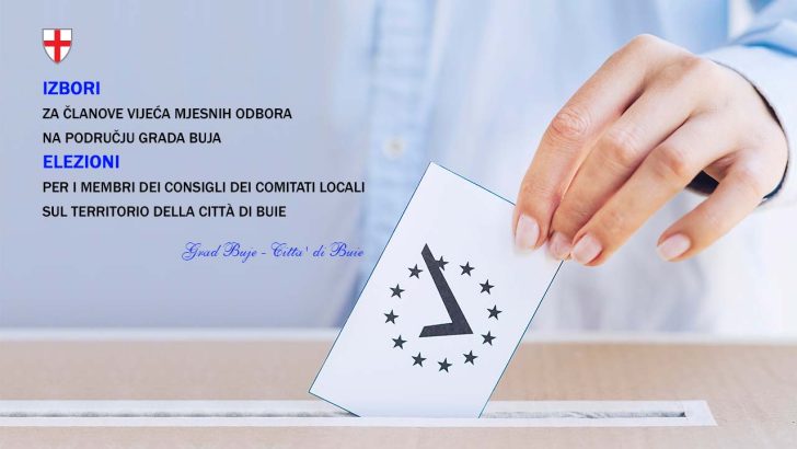 Izbori za članove Vijeća mjesnih odbora na području Grada Buja