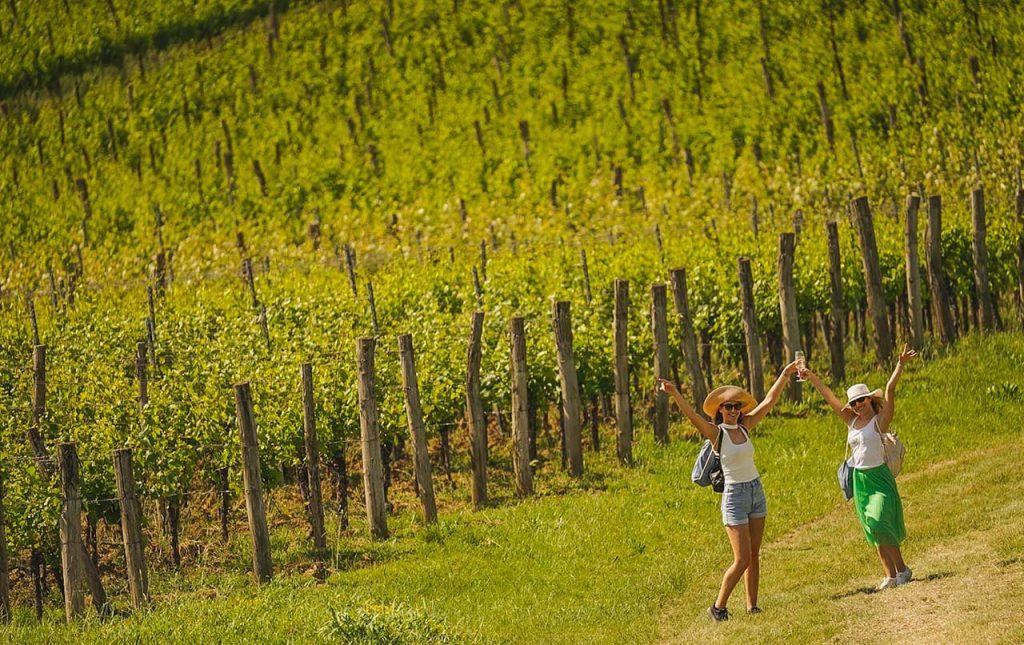 Istria Wine&Walk