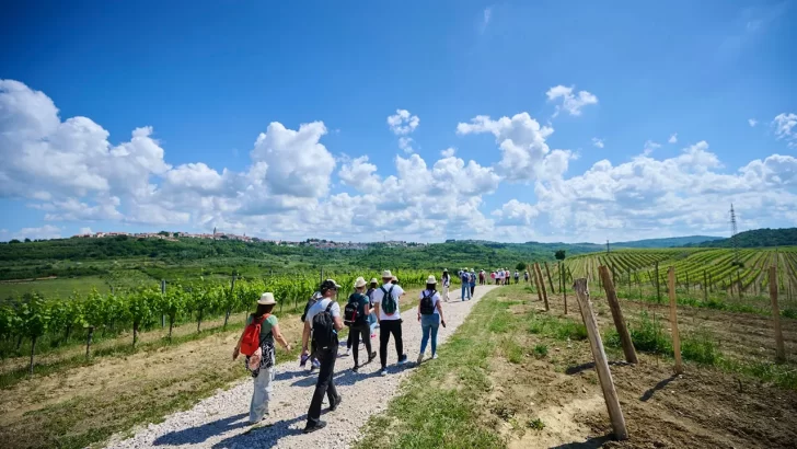 Istria Wine&Walk 2024.