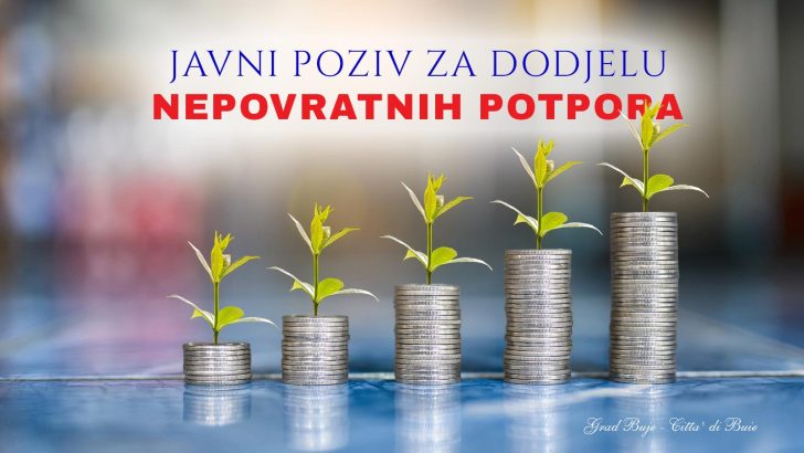 Javni poziv za dodjelu nepovratne potpore