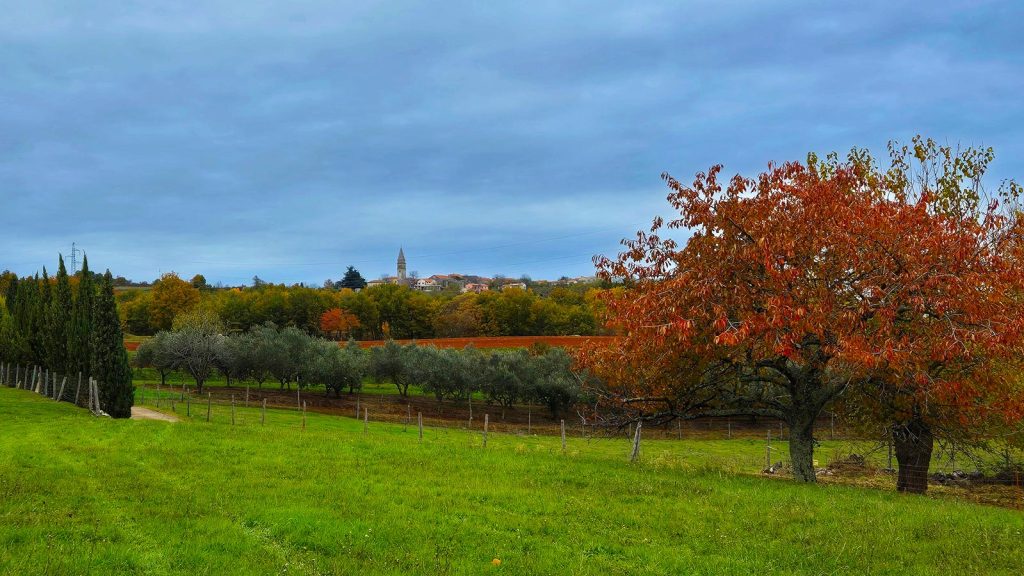 Od Pietrapelose do Zrenja povijesnim cestama i kroz šume pitomih kestena