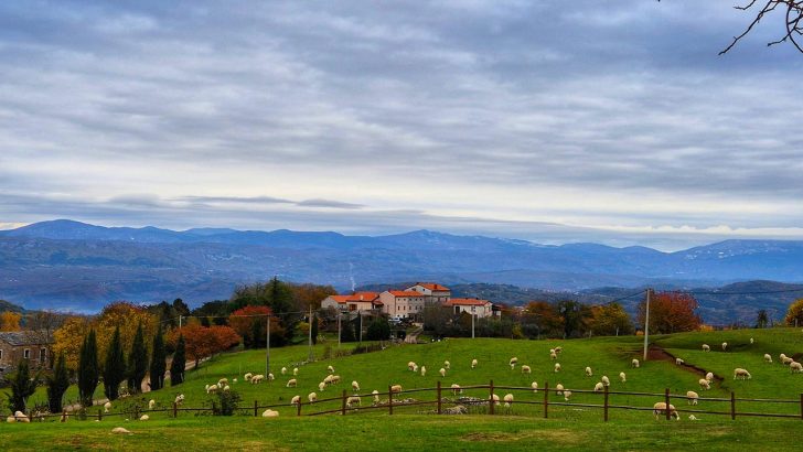 Od Pietrapelose do Zrenja povijesnim cestama i kroz šume pitomih kestena