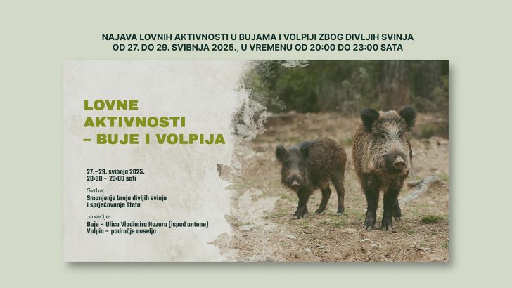 Najava lovnih aktivnosti u Bujama i Volpiji zbog divljih svinja