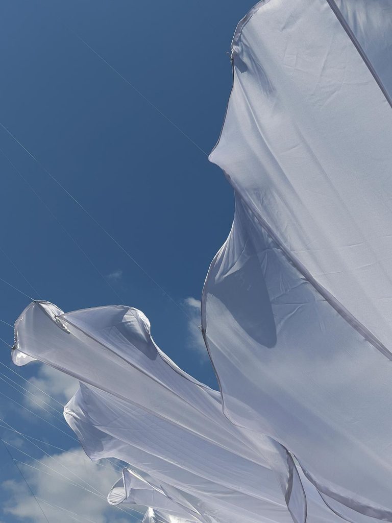 Poziv na otvorenje: Kašteli u cvatu – svjetlosno-auditivna instalacija Ide Blažičko u Kaštelu Petrapilosa