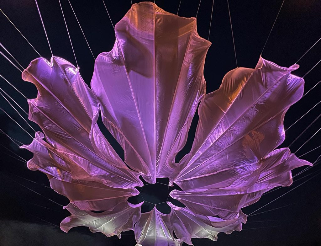 Poziv na otvorenje: Kašteli u cvatu – svjetlosno-auditivna instalacija Ide Blažičko u Kaštelu Petrapilosa