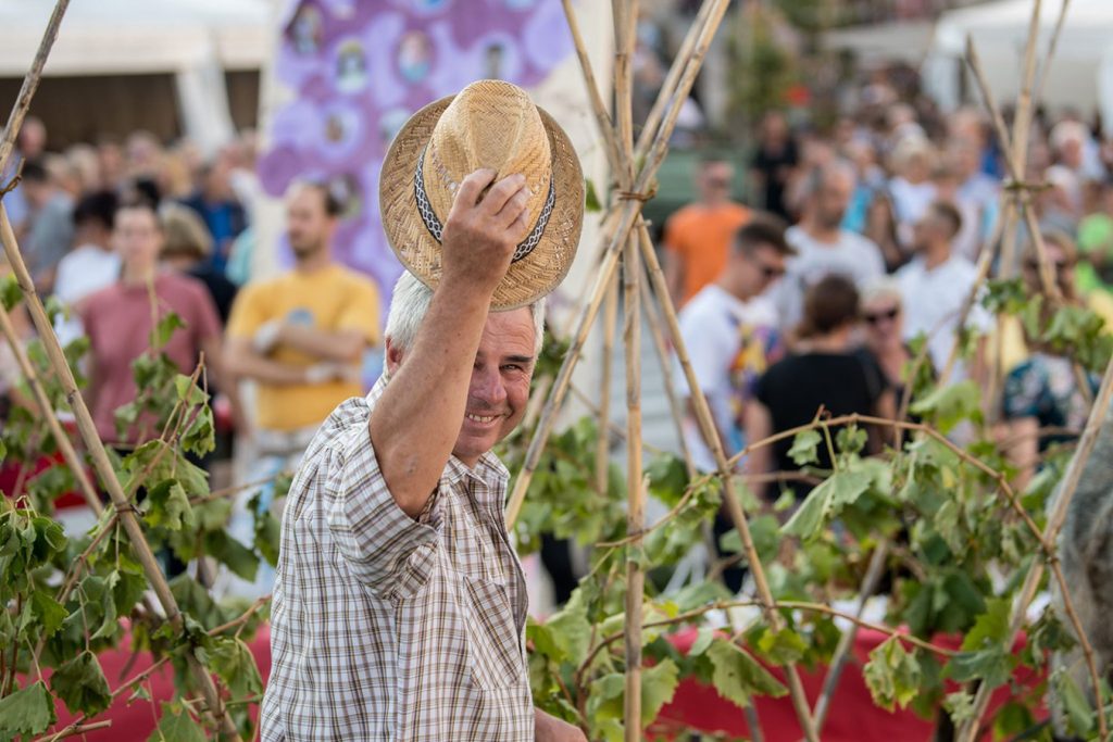 U Bujama se od petka 19. do nedjelje 21. rujna održavaju 119. Dani grožđa – poznata istarska fešta koja okuplja vino, glazbu, kulturu i ljude.