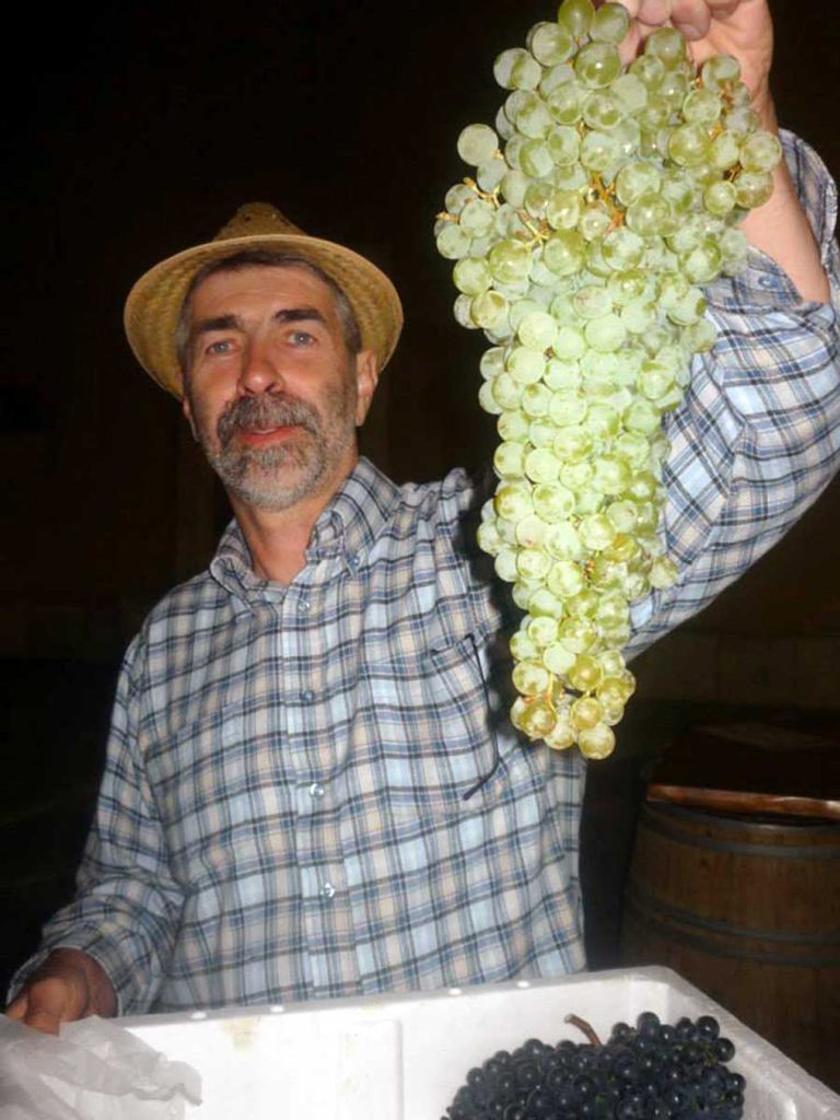 U Bujama se od petka 19. do nedjelje 21. rujna održavaju 119. Dani grožđa – poznata istarska fešta koja okuplja vino, glazbu, kulturu i ljude.