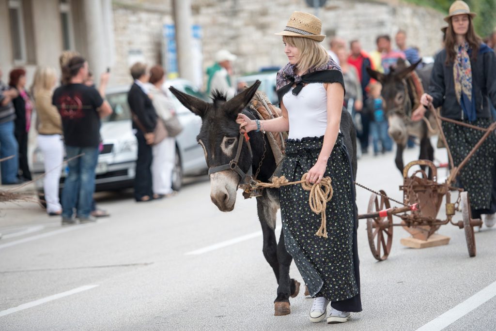 U Bujama se od petka 19. do nedjelje 21. rujna održavaju 119. Dani grožđa – poznata istarska fešta koja okuplja vino, glazbu, kulturu i ljude.