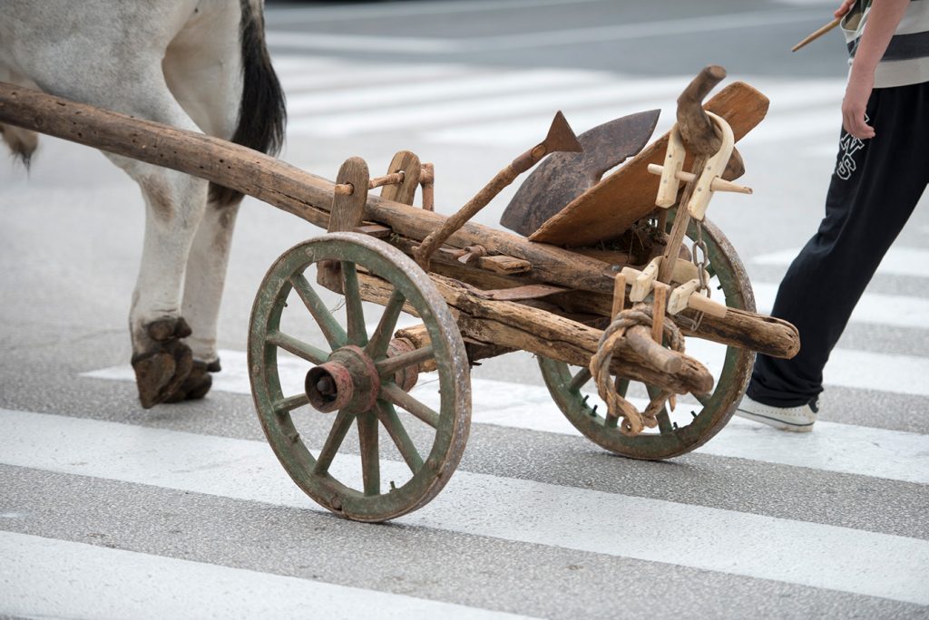 U Bujama se od petka 19. do nedjelje 21. rujna održavaju 119. Dani grožđa – poznata istarska fešta koja okuplja vino, glazbu, kulturu i ljude.