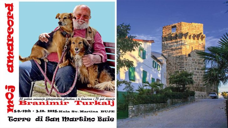 Izložba Branimira Turkalja u Bujama – otvorenje u petak u 18 sati