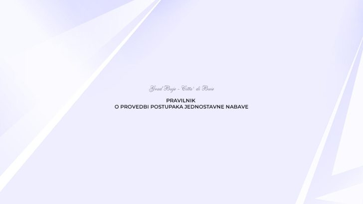 Pravilnik o provedbi postupaka jednostavne nabave